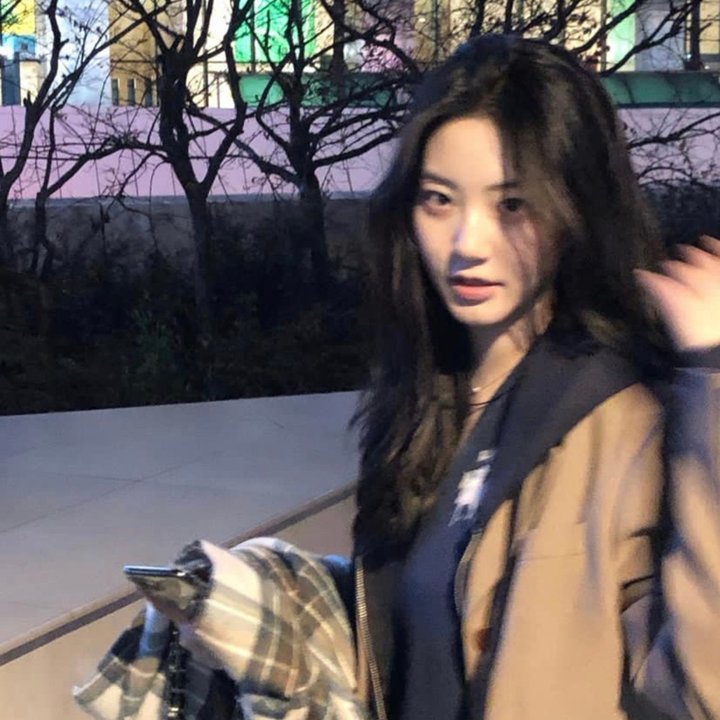 丛林里的诱惑
